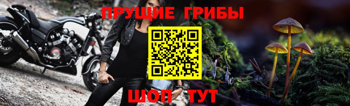 Псилоцибиновые грибы MAGIC MUSHROOMS  Вход с VPN  Галлюциногенные грибы Cubensis  Черкесск 